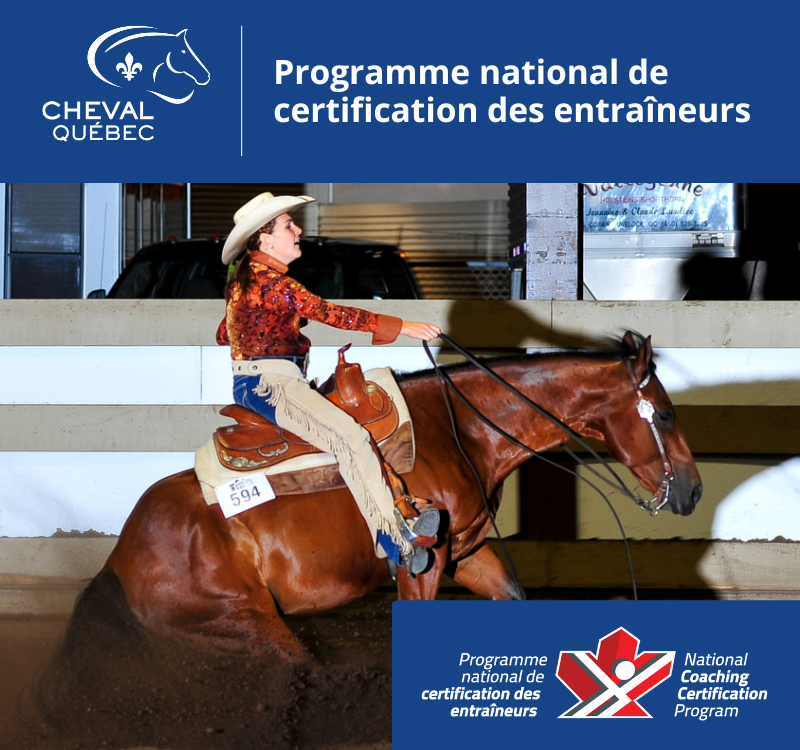 Entraîneur de compétition spécialiste PNCE/CE en Reining